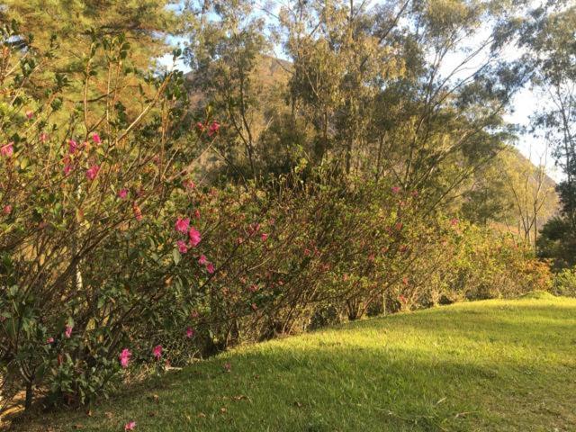 Vila Nosso Sitio - Rancho Santa Clara Itaipava Petrópolis Exteriér fotografie